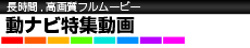 動ナビ特集動画
